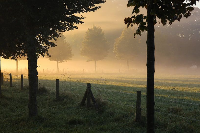 Magischer Morgen von Annemarie Veldman