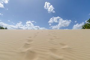 Fußspuren im Sand von Mark Bolijn