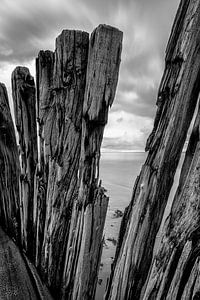 Omaha Beach abstract van Rob van der Teen