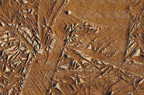 Graphisme naturel