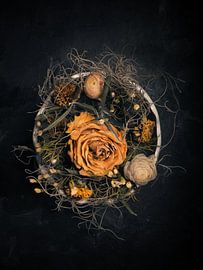 Dried flower arrangement on a dark background by Andreas Berheide Photography