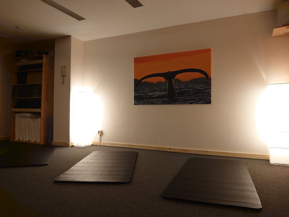 Buckelwal an einem schönen Wintertag von Koen Hoekemeijer