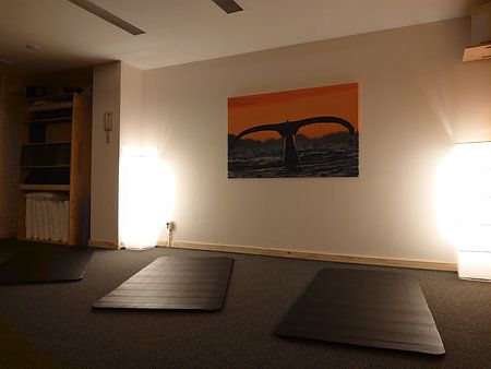 Buckelwal an einem schönen Wintertag