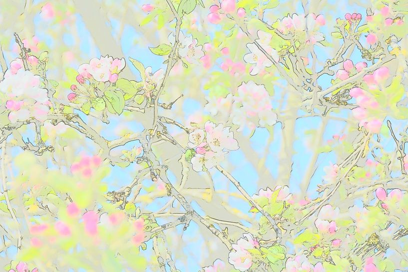 blossom japanese flowers by Gerard de Ridder