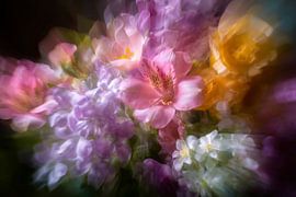 Blumenfantasie