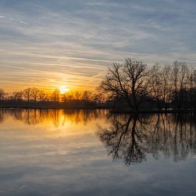 Coucher de soleil dans la réserve naturelle de Dackhorst sur Bas Greevink
