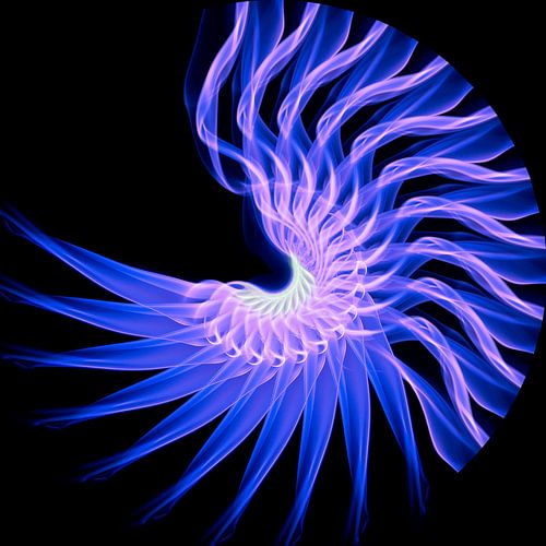 Abstracte rook vorm rond repeterend als een schelp