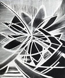 pioneering-s004-2__2012 van Hans Zantman