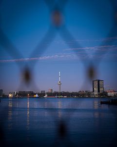 Vue de l'Euromast - Rotterdam dans le cadre