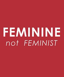 Feminin, nicht feministisch von Emelly Velasco