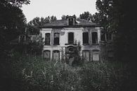 Abandoned Dutch villa by Myron van Ruijven thumbnail