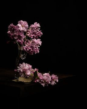 Branches fleuries dans un vase sur Misty Melodies