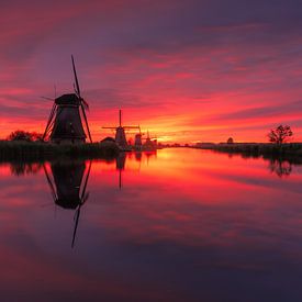 Kinderdijk in vuur en vlam. van Trudiefotografie