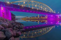 Jhon Frostbrug met de week van de kinder sterfte