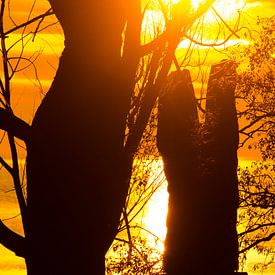 Sunset / Zonsondergang van Erik van Riessen