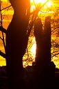 Sunset / Zonsondergang van Erik van Riessen thumbnail