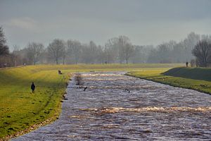 Vroeg in de ochtend op de Elz bij Emmendingen van Ingo Laue