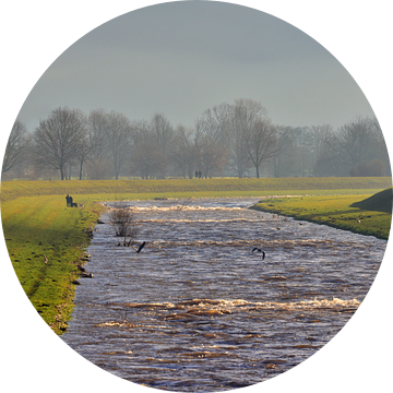 Vroeg in de ochtend op de Elz bij Emmendingen van Ingo Laue