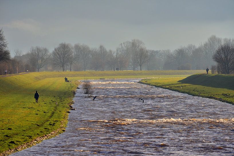 Early in the morning at the river Elz near Emmendingen by Ingo Laue