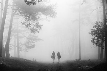 Promenade dans la réserve naturelle de Heidestein par un matin brumeux ! sur Peter Haastrecht, van