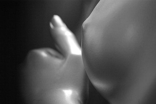 Plastik Models 1.6