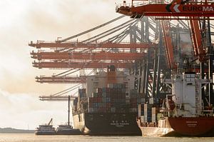 Containerschiffe auf dem Containerterminal im Hafen von Rotterd