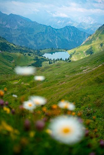 Bloemrijk uitzicht op de Seealpsee in de Allgäuer Alpen