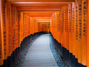 Red torii arches in Kyoto Japan by Teun Janssen