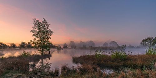 Panorama and sunrise at Smitsveen, Dwingelderveld, Drenthe by Henk Meijer Photography