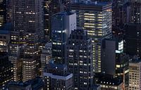 Concrete Jungle - New York