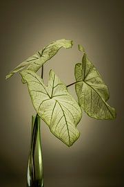 Stilleven Vintage Jaren zestig van Alie Ekkelenkamp