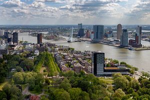 Die Erasmusbrücke Rotterdam von Menno Schaefer