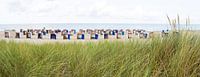 helmgras en strandhuisjes Katwijk van Arjan van Duijvenboden thumbnail