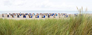 beach grass and beach houses Katwijk by Arjan van Duijvenboden