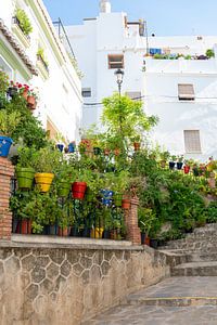 Charakteristische kleine Straße mit Blumen in Cómpeta, Andalusien, Spanien