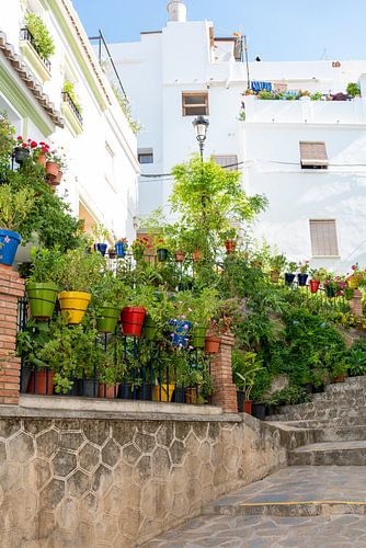 Charakteristische kleine Straße mit Blumen in Cómpeta, Andalusien, Spanien