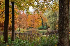 autumn by Michel Van Giersbergen
