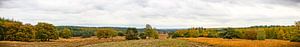 Panoramic view over moors at the Loenermark in the Veluwe during fall