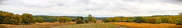 Panoramisch uitzicht over heidevelden bij de Loenermark op de Veluwe in het najaar