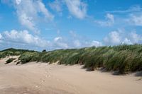De wind door de duinen en grassen aan het Cadzand-bad strand