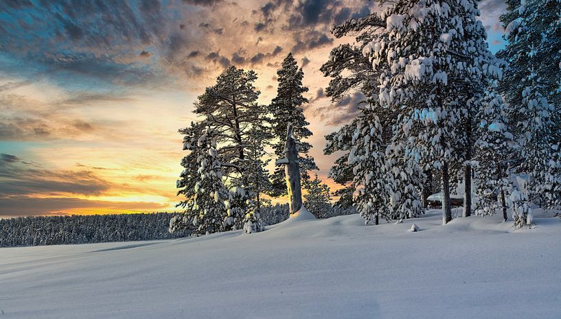 Parc national de Pasvik par Kai Müller