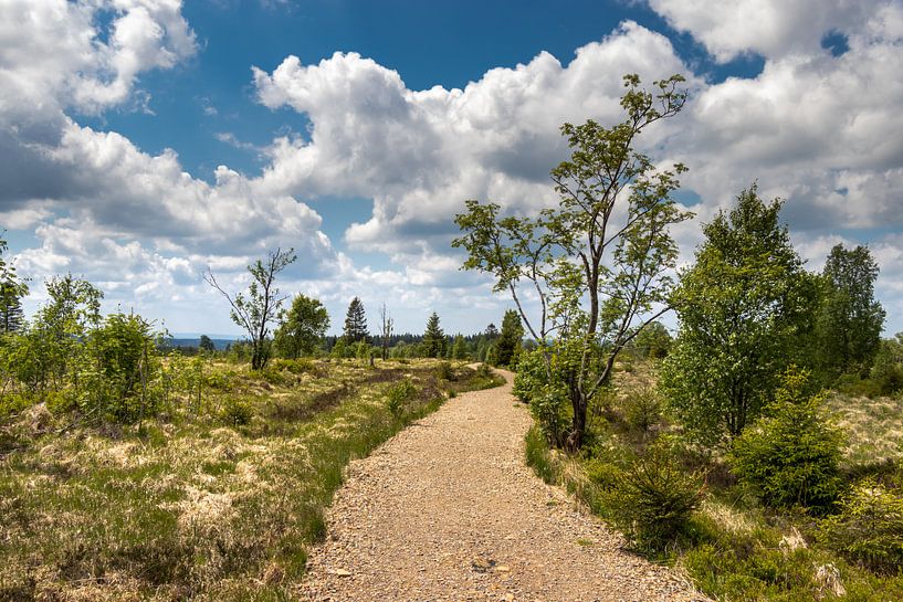 Landscape at Baraque Michel (Belgium) von Maurice Meerten