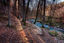 Bergrivier La Hoëgne