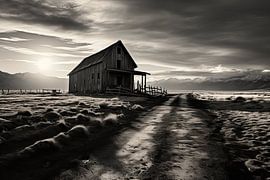 Death Valley National Park 5/8 by Hans-Jürgen Flaswinkel