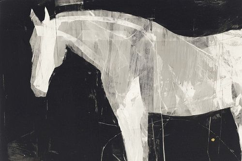 Rustig wit paard profiel