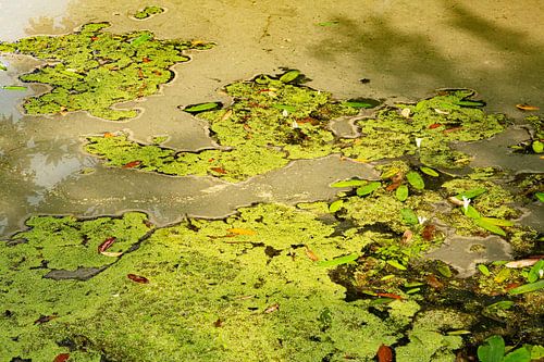 Abstract in groen