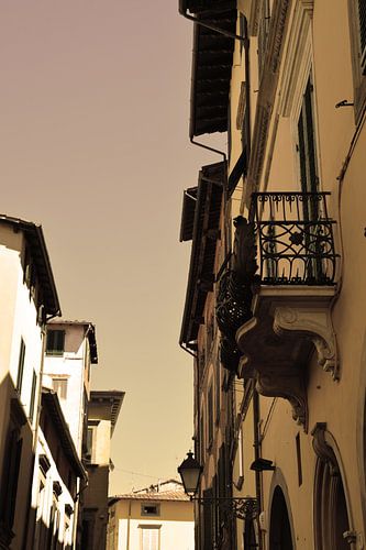 Toscane Italie Lucca Centre-ville Vieux