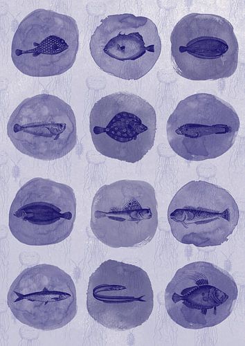 12 Delft blue fish by Jadzia Klimkiewicz