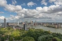Rotterdam skyline from the Euromast