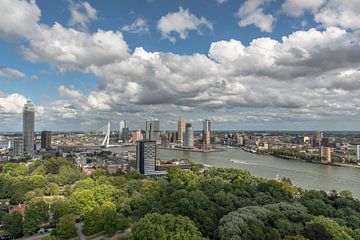 Skyline Rotterdam vanaf de Euromast van Thea de Ruijter